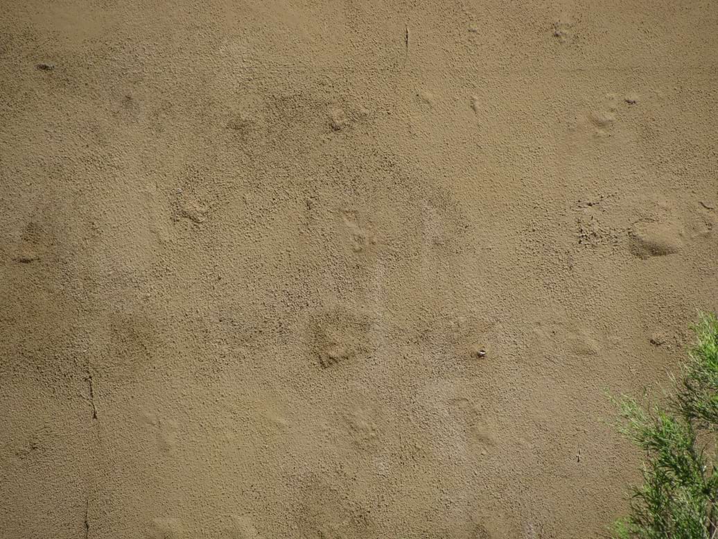 Stucco Blisters Bubbles